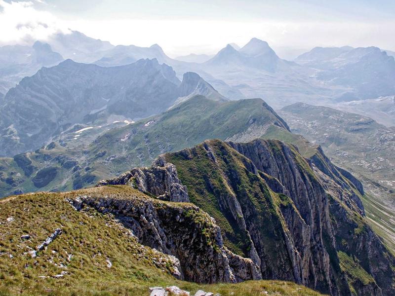 sudoku iq test screenshot 3